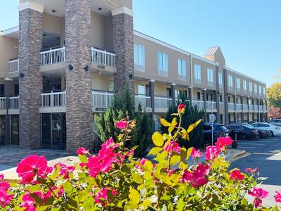 Bposhtels Charlotte - Hostel