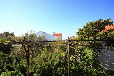 Rosemary - Gorgeous Garden - A2