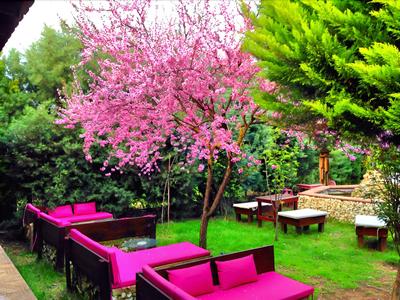 Faciba Butik Otel Restaurant Cafe & Bar