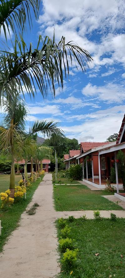 Mango Tree Farm