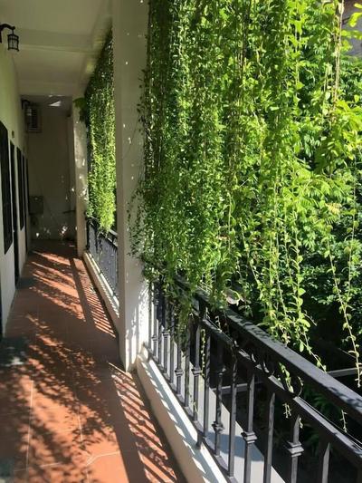 Green Mango Apartment and Hotel