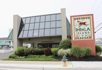 Impala Island Inn