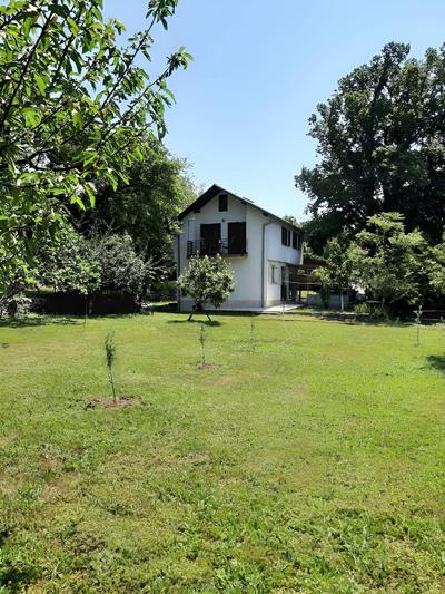Holiday House Stipe