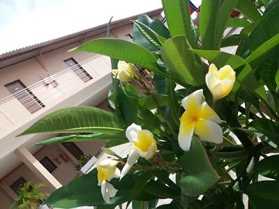 Atlantic Mar Park Hotel