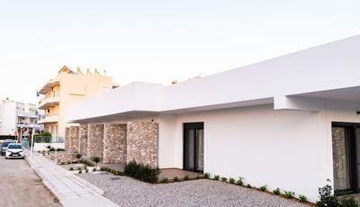 Pebble Garden Orchid