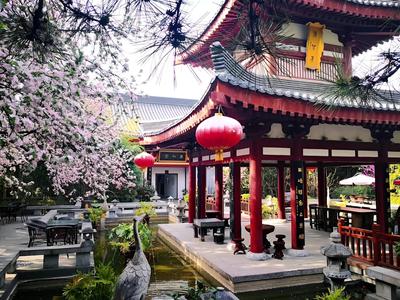 Tang Dynasty Art Garden Hotel
