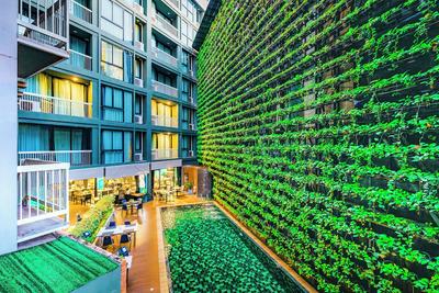 Cross Vibe Chiang Mai Decem