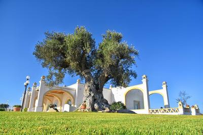 Masseria Celidonia resort & relax, Billede 2