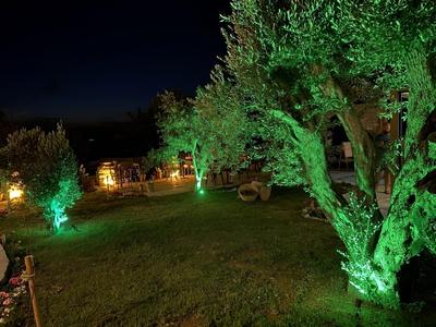 Sur7 Boutique Hotel