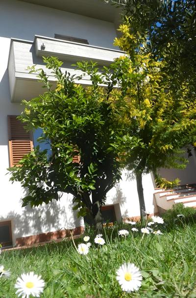 Brezza da Mare B&B