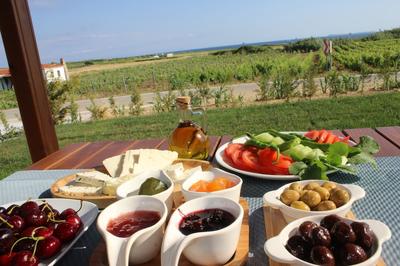 Bozcaada Defne Bag Evi