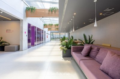 Beautiful Studio 110m, Oscar Freire Street Rao1520