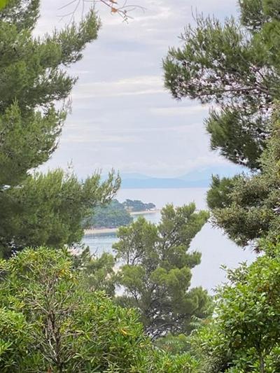 Bravo - 100 m From Beach - A1