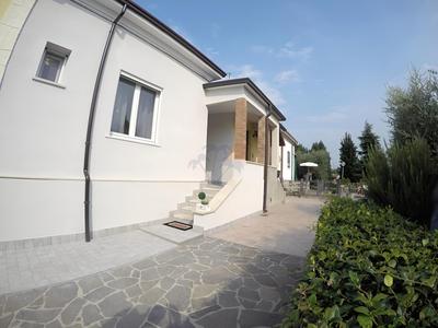 New Camere Pederzoli