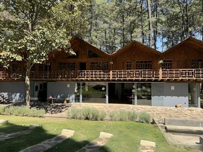 PINE TREE Hotel Boutique & Cabañas