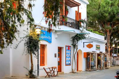 İbrahim Serin Konagi