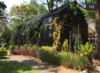 Rewild Camp And Cafe