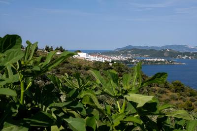 Oniro Skiathos