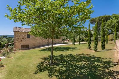 Bossoncina 8 1 in Montepulciano