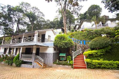 The New Whispering Meadows