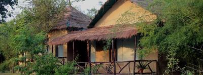 Tiger Lagoon Bandhavgarh