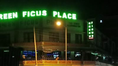 Green Ficus Place