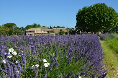 Mas de L'Amme