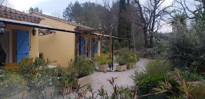 Les glycines