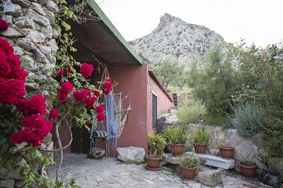 El Refugio de Alamut