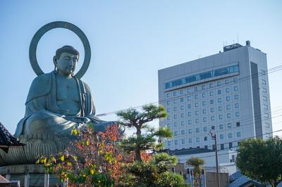 Hotel New Otani Takaoka