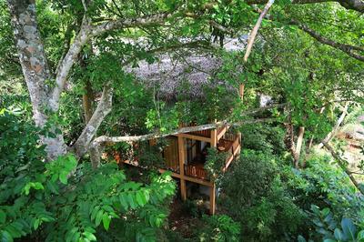 Jungle Village By Thawthisa