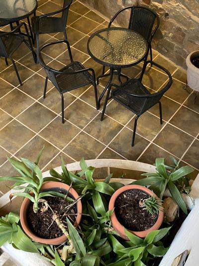 Hotel Jardín de Cervantes