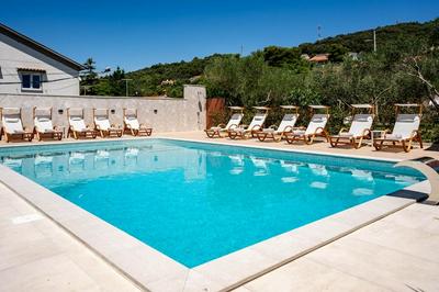 Spomenka - Green Paradise - A3
