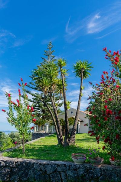 Villa Emily