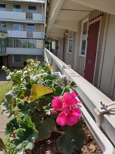 Räddningsskolans lägenhetshotell