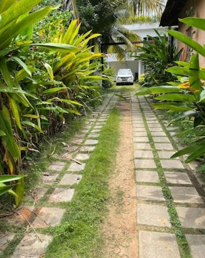 Rain Homestay