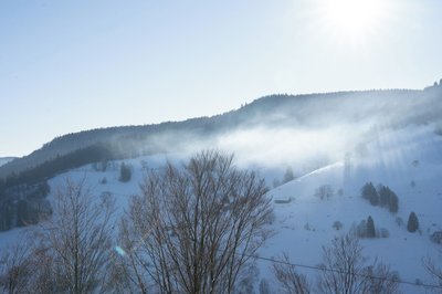 Bergvital Hotel Todtnau