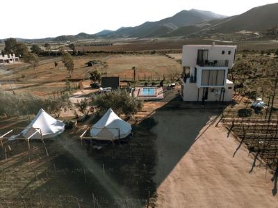 The Pangea Valle de Guadalupe