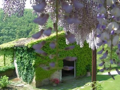 Casa Uscioli