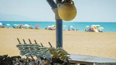 Marbella Beach Luxury apartment