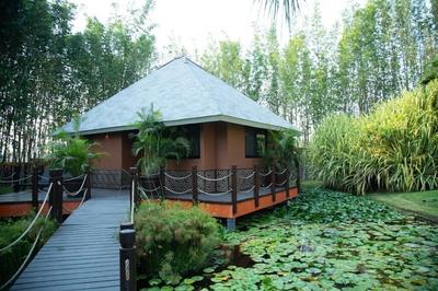 Soul Spring Sanctuary Cuernavaca