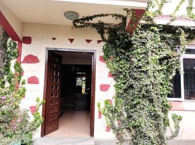 VSTM Bamboo Grove Retreat