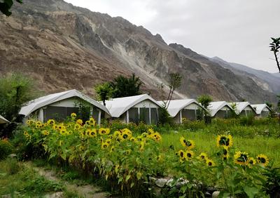 TIH Buckwheat Root Camp - Turtuk