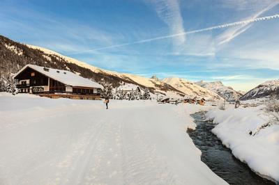Vetta in Livigno With 1 Bedrooms and 1 Bathrooms