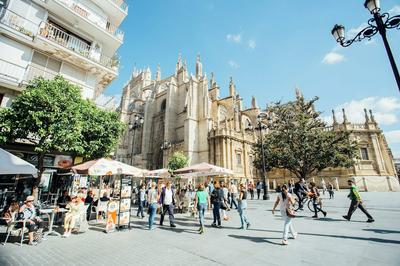 Preciosas Vistas a Catedral