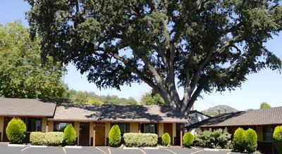Melody Ranch Motel, Bilde 2