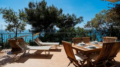 Aurelia 103