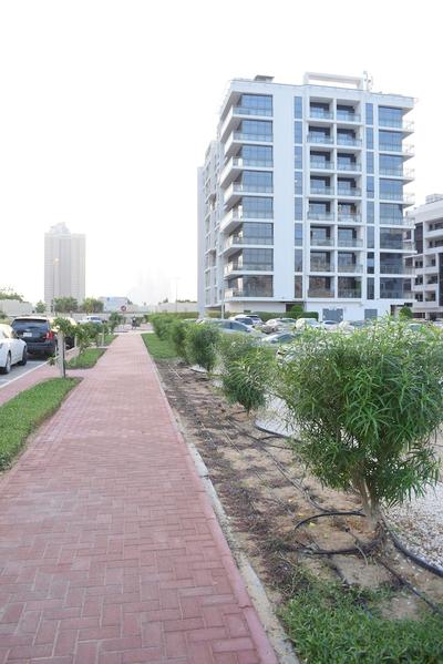 Cozy 1 Bedroom In J8 Al Safouh