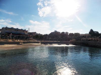 Blue Moon Apartments