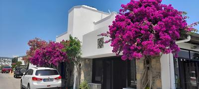 Ayhan Suite Otel - Image 22